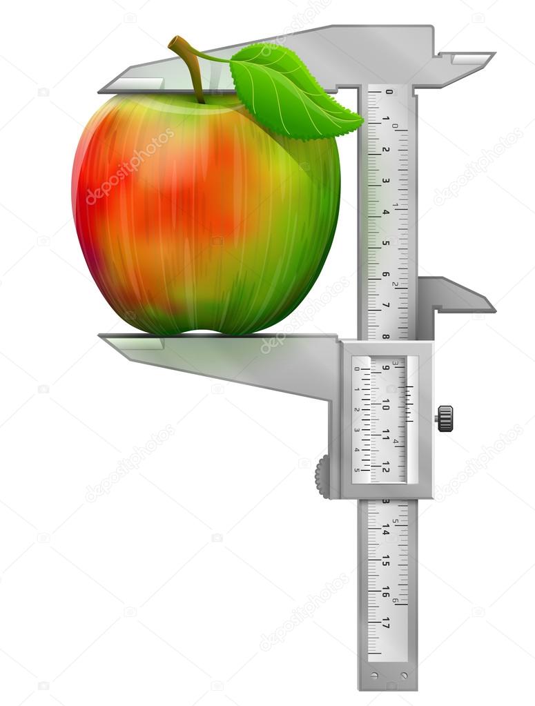 Vertical caliper measures apple fruit