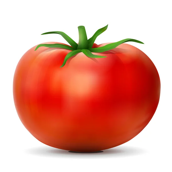 Tomate con hojas de cerca — Vector de stock