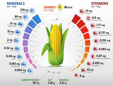 Vitamin ve minerallerin mısır mısır koçanı