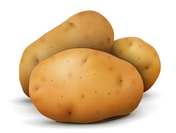 Heap of potato tubers close up
