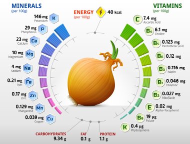 Vitamins and minerals of common onion clipart