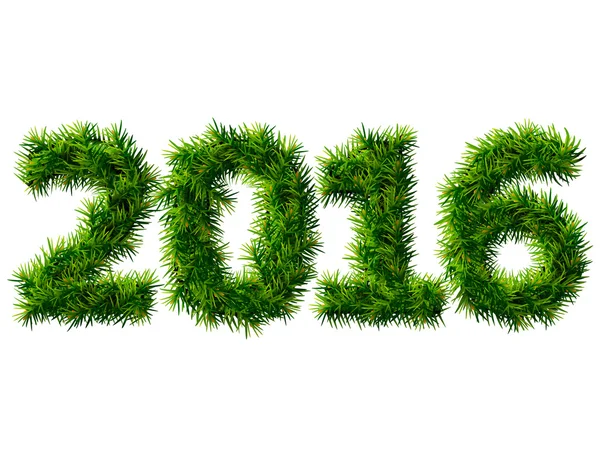 Ano Novo 2016 de ramos de árvore de Natal isolados em branco — Vetor de Stock
