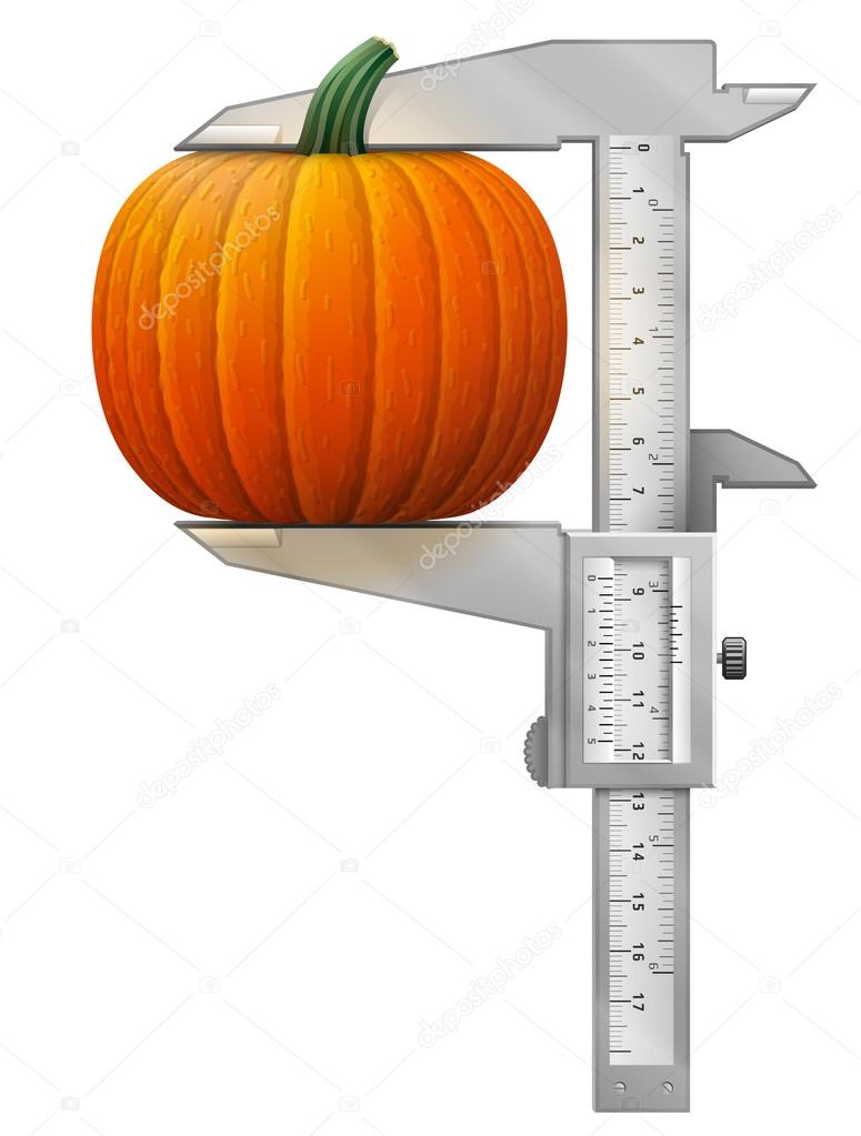 Vertical caliper measures pumpkin fruit