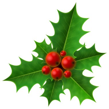 Noel 'de Holly Berry beyaz arka planda izole edilmiş.