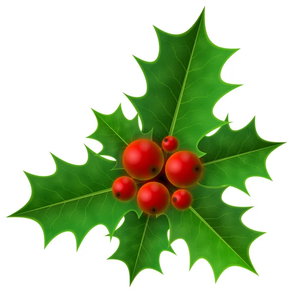 Christmas holly berry isolated on white background — Stock Vector