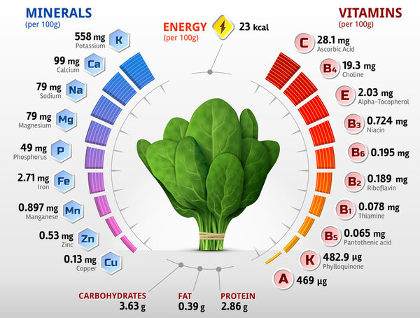 Vitamins and minerals of spinach leaves