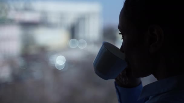 Silhouette von Frauen steht vor dem Teetrinken am Fenster — Stockvideo