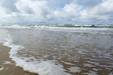 büyük hayvancılık