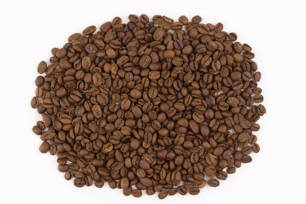 Hill coffee beans — Stock Photo, Image