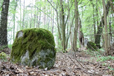 Eski yosunlu Mezarlığı