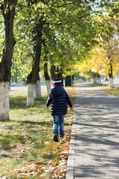 Der kleine Junge zu Fuß — Stockfoto