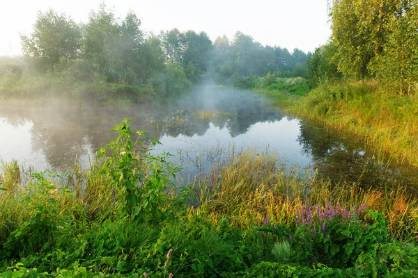 Πρωί ποταμού — Φωτογραφία Αρχείου