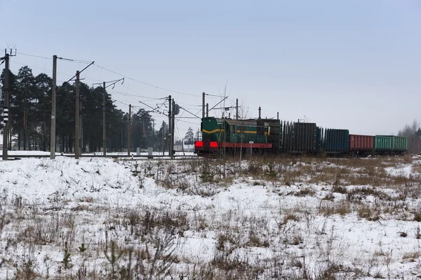 Train de marchandises puissant — Photo