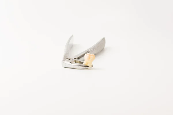 Ferramentas de cirurgia dentária com dente remoto — Fotografia de Stock