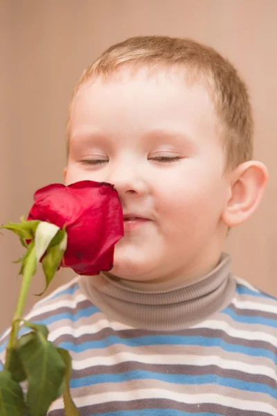 Menino e rosa — Fotografia de Stock