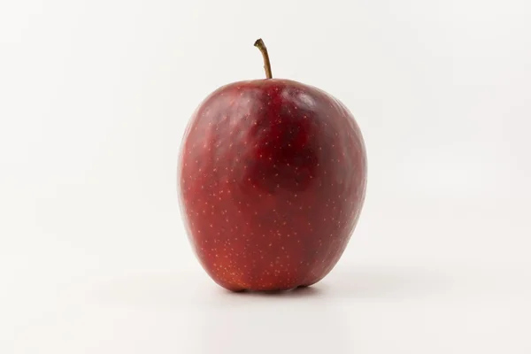 A gyümölcsök — Stock Fotó