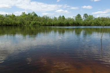nehrin güzel sahil ile