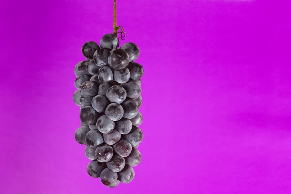 集群的葡萄 — 图库照片