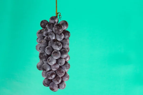 集群的葡萄 — 图库照片