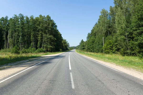 ahşap arasında asfalt yol