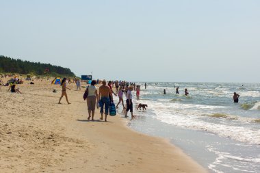 Bir Palanga bir plajda yaz