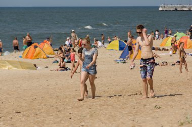 Bir Palanga bir plajda yaz