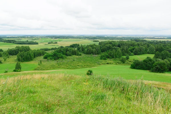 Vista desde la colina que sobresalió de una hierba — Foto de Stock