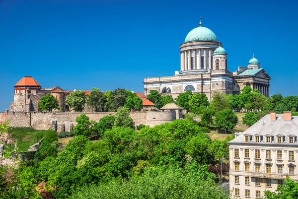 Katedra w Esztergom, Węgry — Zdjęcie stockowe