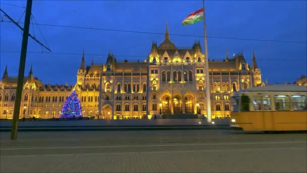 El tranvía 2 pasa frente al Parlamento de Hungarin buliding por la noche con un árbol de Navidad. — Vídeo de stock