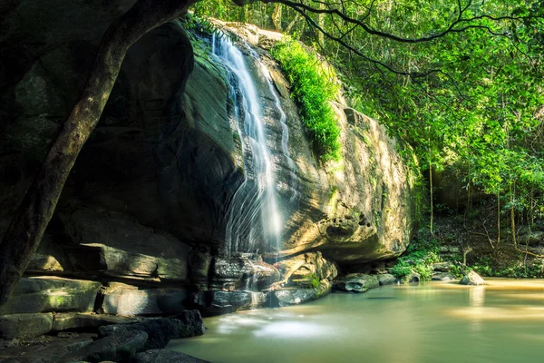 Queensland Falls'ta Serenity