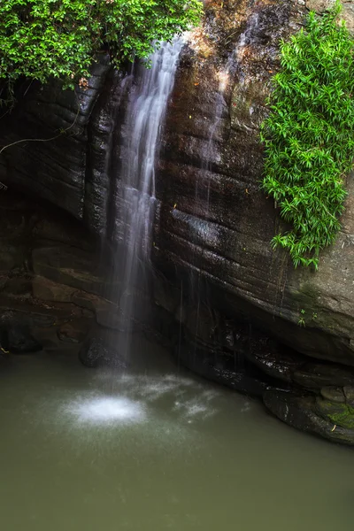 Serenity Falls em Queensland — Fotografia de Stock