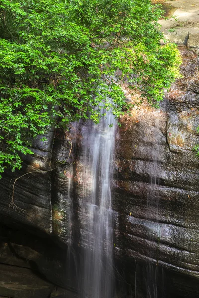 Sérénité tombe dans le Queensland — Photo