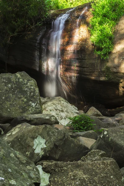 Serenity Falls em Queensland — Fotografia de Stock