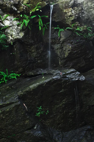 J C abate Falls — Fotografia de Stock