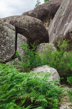 Girraween Milli Parkı