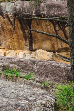 Yeraltı creek Girraween Milli Parkı'nda