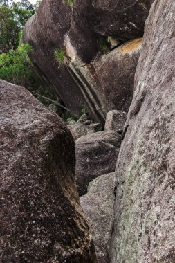 Yeraltı creek Girraween Milli Parkı'nda