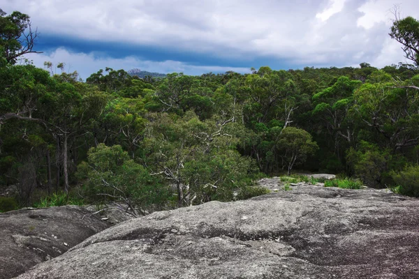 Girraween nationalpark - Stock-foto