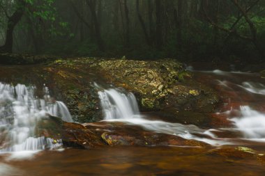 Bahar çayı Goomoolahra dereye