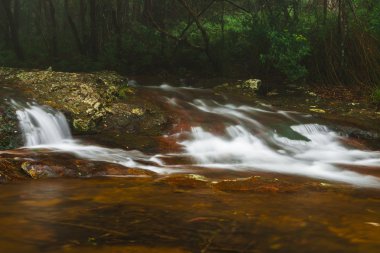 Bahar çayı Goomoolahra dereye