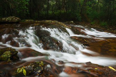 Bahar çayı Goomoolahra dereye