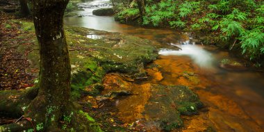 Bahar çayı Goomoolahra dereye