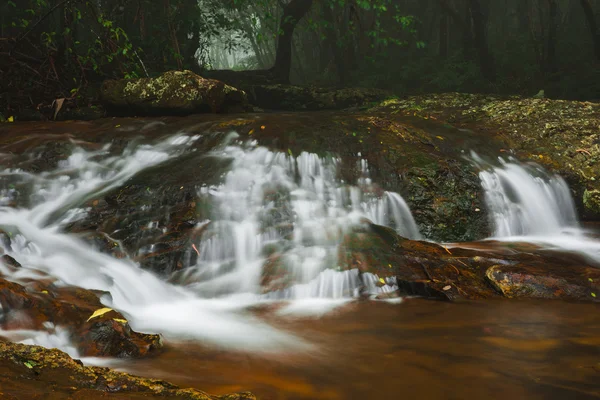 Goomoolahra creek v Springbrook — Stock fotografie