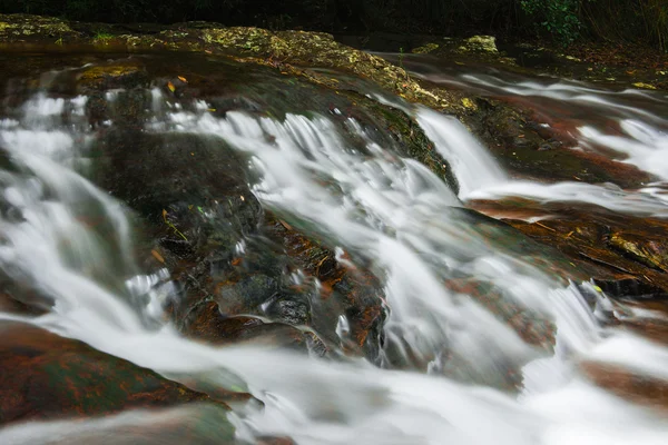 Goomoolahra riacho em Springbrook — Fotografia de Stock