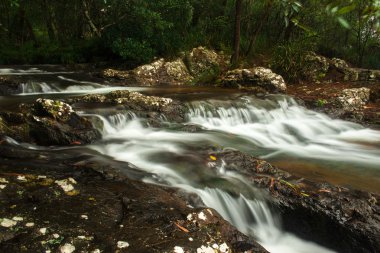 Bahar çayı Goomoolahra dereye