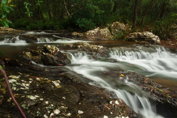 Goomoolahra Bach in Springbrook — Stockfoto