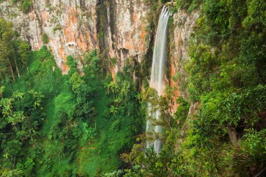 Bahar çayı Falls'ta Purlingbrook