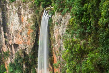 Bahar çayı Falls'ta Purlingbrook
