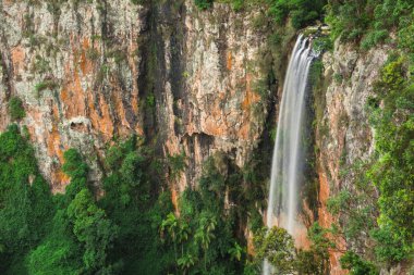 Bahar çayı Falls'ta Purlingbrook