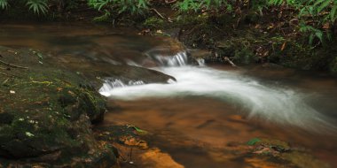 Bahar çayı Goomoolahra dereye